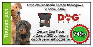 Obroże elektryczne do tresury psów